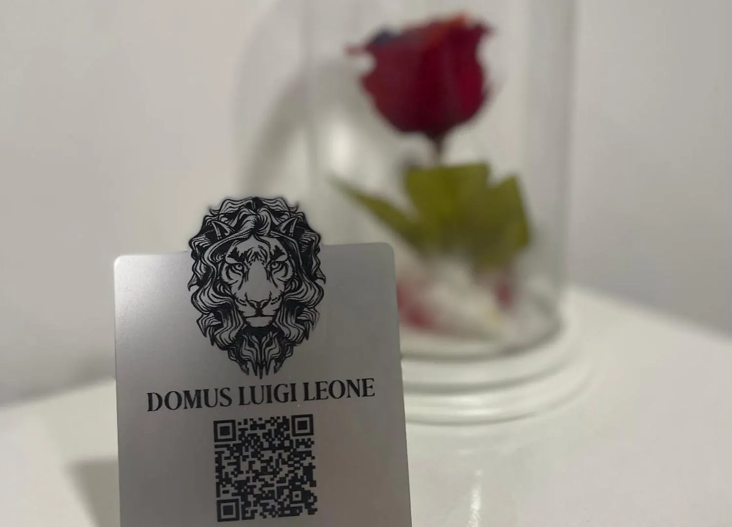 Appartamento Domus Leone Napoli 0*,  Italia